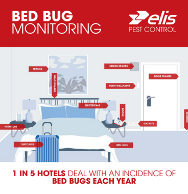 bedbug monitoring
